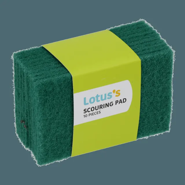 Lotuss Value 10PCS Scouring Pad Lb01a