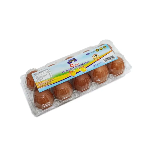 Qplus Vitamin E Enriched Eggs L 10S