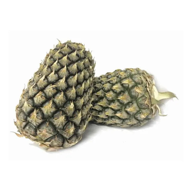 Nanas Morris (m) (johor) - Sebiji