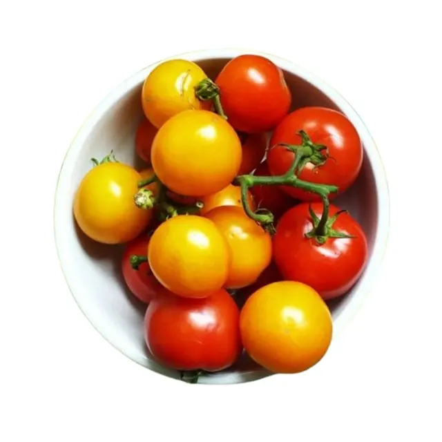 Lotuss Tomato Ceri Merah & Kuning 250g