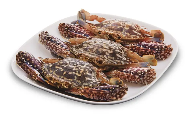Ketam Bunga S - pcs (150-200)