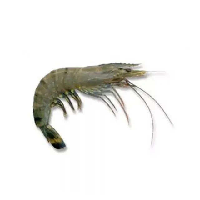 Udang Harimau Xl (kg) (9519)