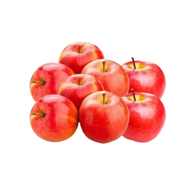 France Candine Apple L 6S