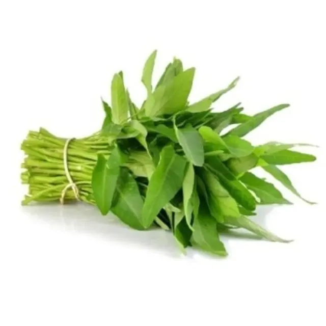 Kangkung