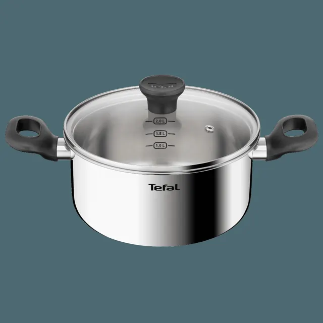 Tefal Starter Ss Stewpot 20cm E32544