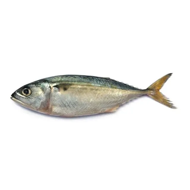 Ikan Kembong Xs (pcs) (9627)