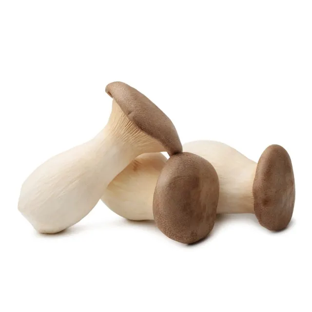 King Oyster (small)-250g