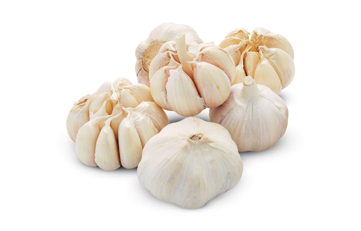 Bawang Putih Kopek