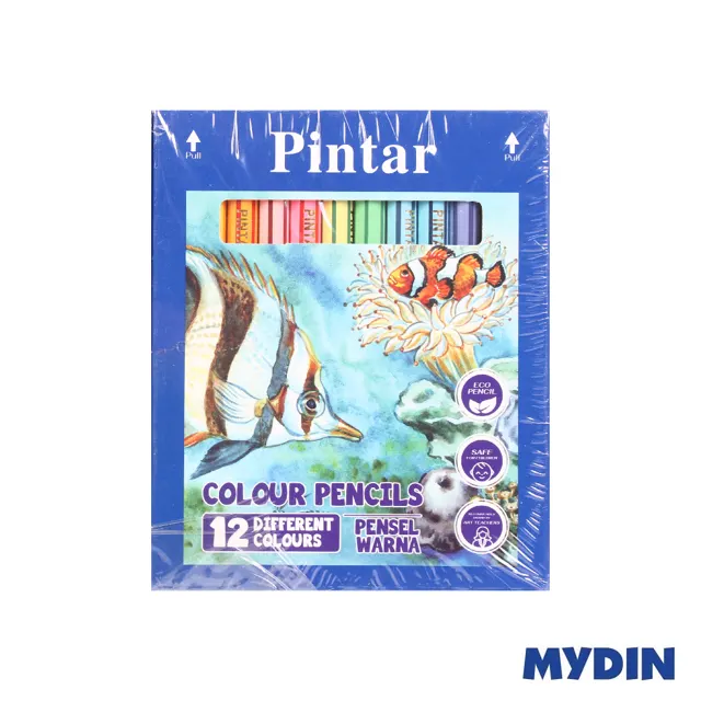 Pintar Col Pencil 12S Ptr028