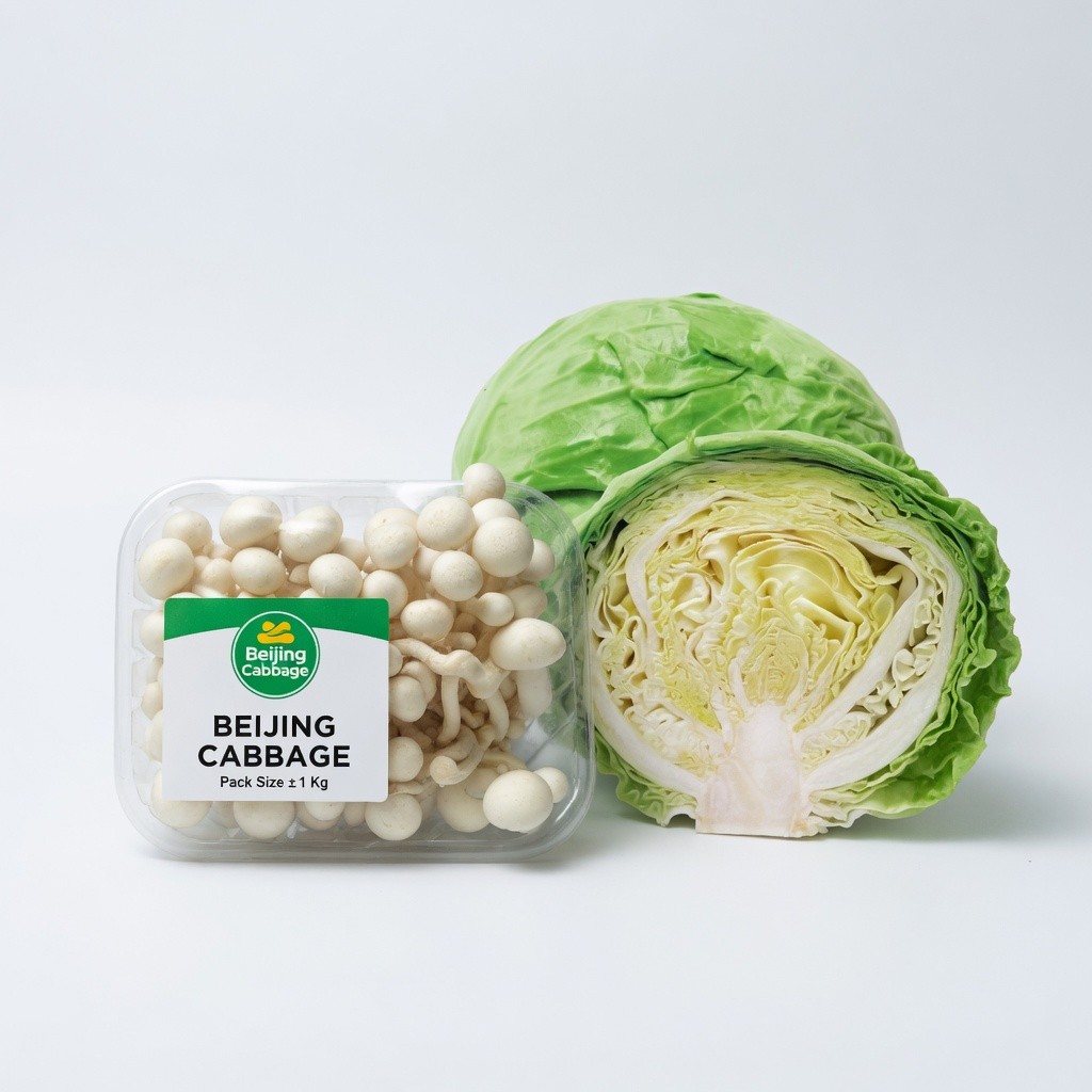 Beijing Cabbage