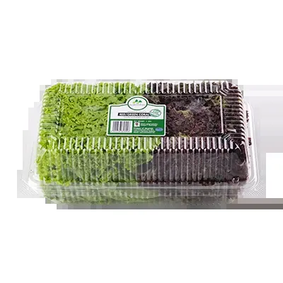 Food Forest Farm Red+Green Coral 2pcs