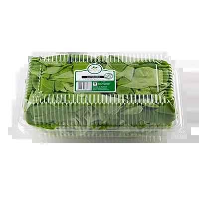 Food Forest Farm Butterhead 2pcs