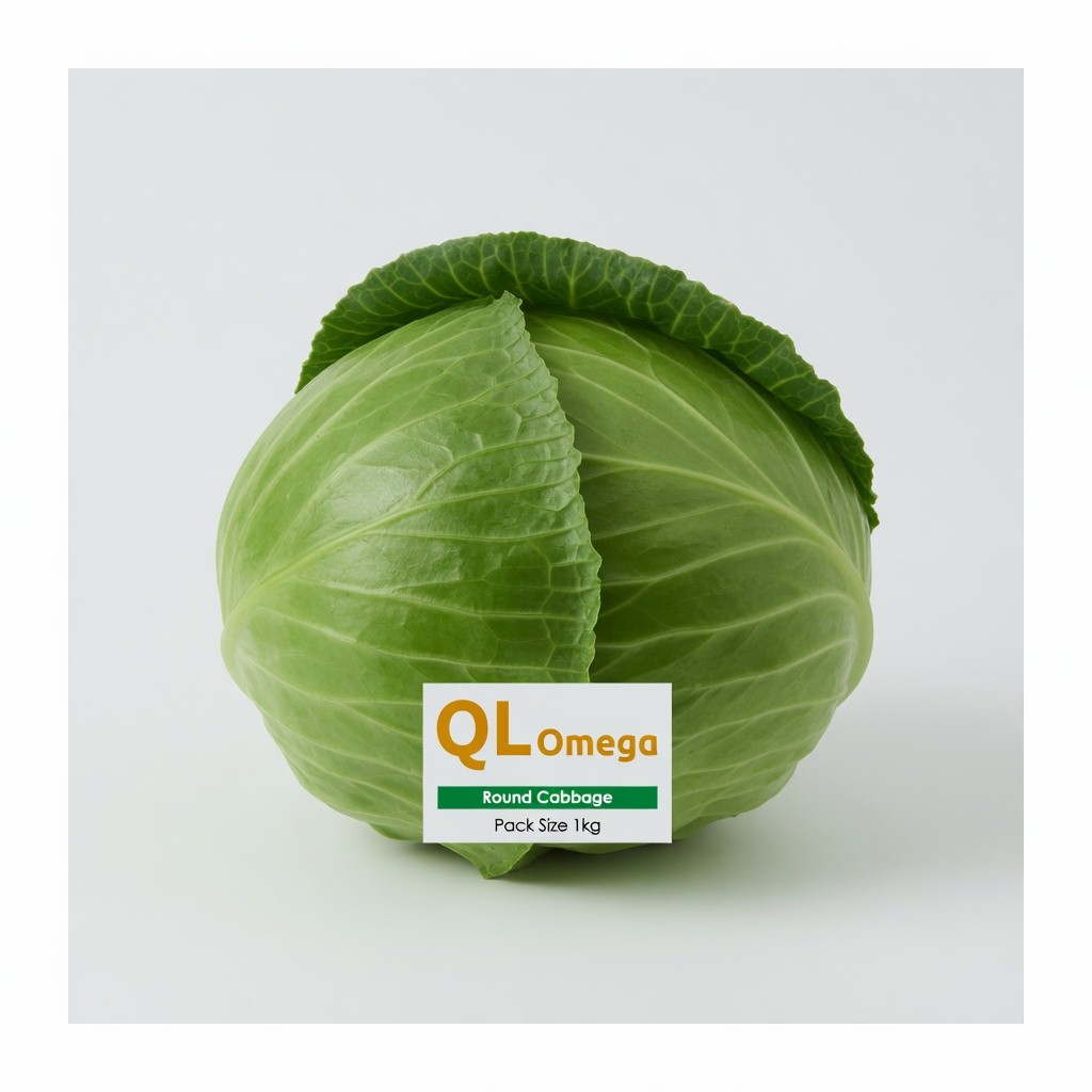 Round Cabbage