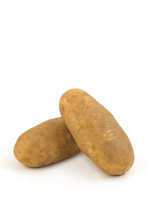 Us Russet Potato