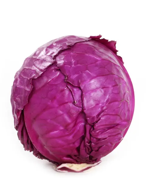 China Long Cabbage
