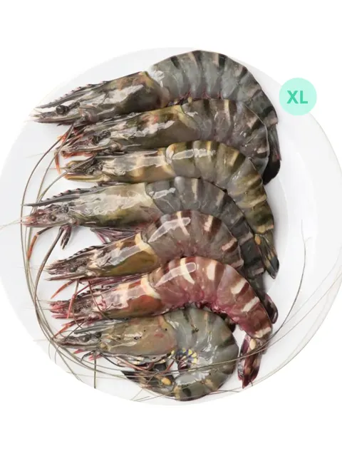 Udang Harimau/tiger Prawn Xl