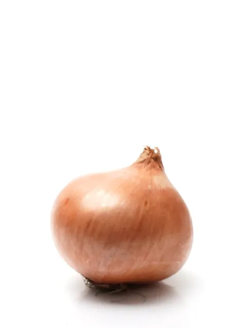 Aust Cream Gold Onion 500g