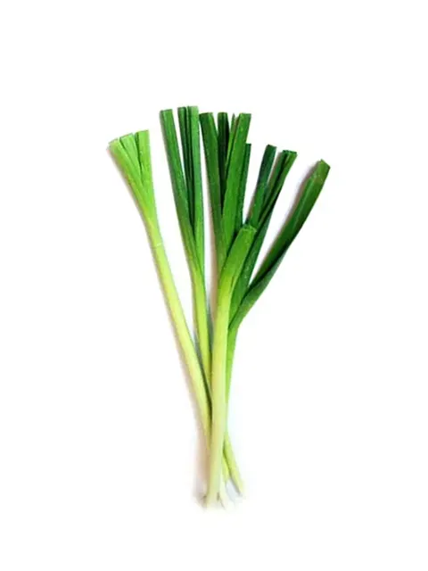 China Leek